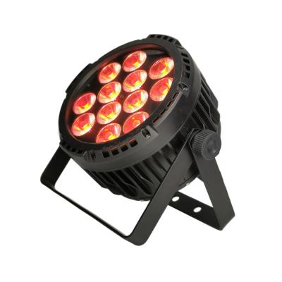 China Hot sale 12x18W 6in1 rgbwa+uv garden led outdoor par light IP65 par lights for sale