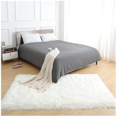 China Cute Flutty Bedroom Fluffy Blanket Floor Mat Rugs For Bedroom Living Room Shaggy Home Decor Area Rugs for sale