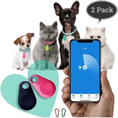 China Lights Amazon Blue Tooth Dog Blue Tooth Smart Mini Waterproof Pet Gps Tracker Hot Selling Anti-lost Collar with Mobile App Remote Control for sale