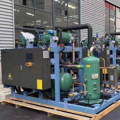 China Bizer compressor units high temperature Multi-parallel screw compressor HSK6451-60 condensing units for sale