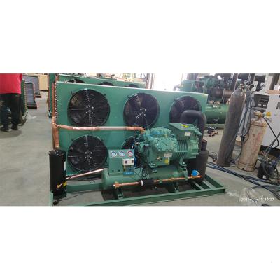 中国 Bizer compressor units Bizer Wind-cooling refrigeration condensing units of Bizer compressor 6G-30.2 6GE-34 販売のため