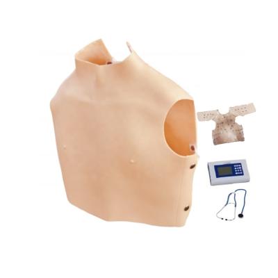 China Human Life Size Medical Science Tool Cardiopulmonary Auscultation Model for Teaching for sale