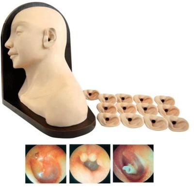 China Medical Science Ear Diagnostic Training Model for Clinical Nursing Skills Education for sale