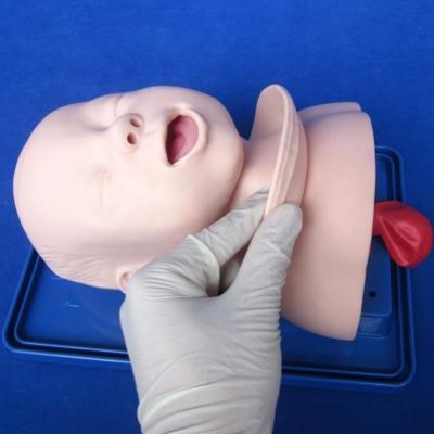 China Manikin Pediátrico Econômico para Modelo de Cabeça Viva do Bebê e Treinamento de Intubation Infantil à venda