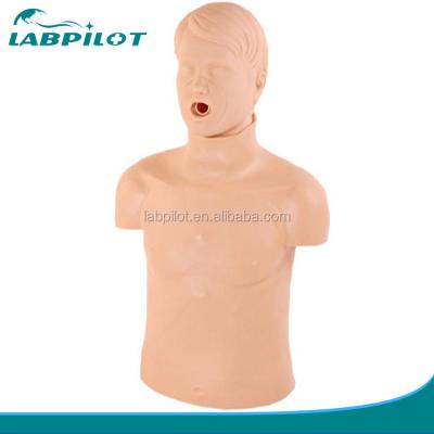 China Realistic Human Manikin for Basic Emergency Skills Training Half Body CPR Training for sale