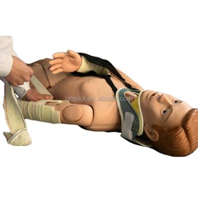 China Medical Teaching Manikin for External Fixation Training in First Aid of Limb Fracture for sale