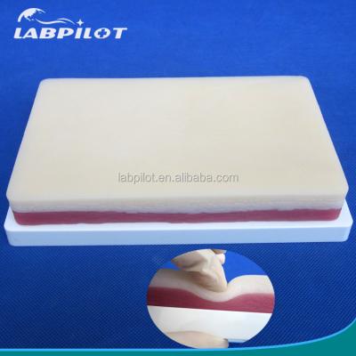 China Manikin Human Life Size 3-Layer Suture Practice Pad for Skin Fat and Muscles Training Model for sale