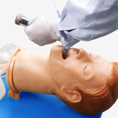 China Vivid Anatomy Intubation Head for Electronic Multi-functional Airway Management Model for sale