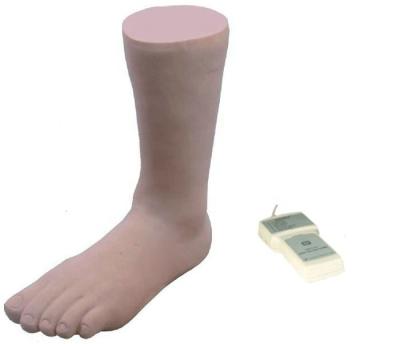 China Realistic Human Simulation Manikin Ankle Joint Injection Training Model with Control Box for sale