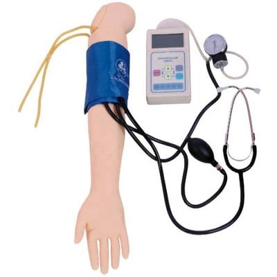 China Advanced Blood Pressure Training Arm Simulator Model for Clinical Nursing Practice for sale