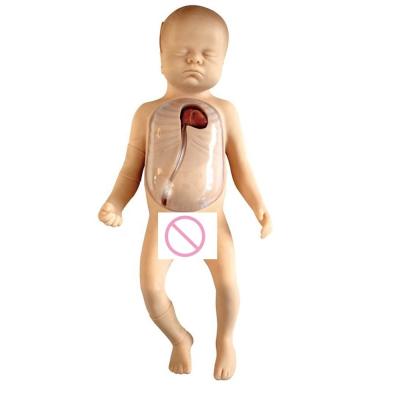 China Human Life Size Baby Nursing Manikin Featuring Neonatal Care PICC Model for sale