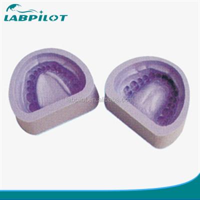 China Medical Educational Models Standard Teeth Mold with Dentition Model in Clinics for sale