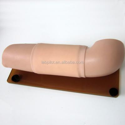 China Manikin for Obstetrical and Gynecological Skills Model Contraception Teaching Arm Model for sale