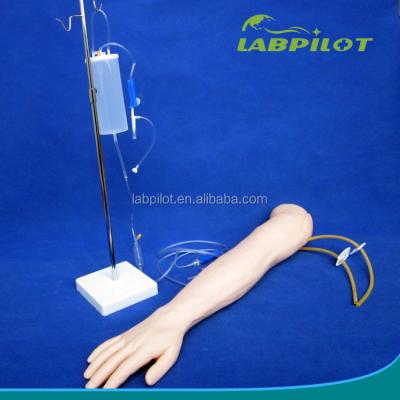 China Intravenous Infusion and Injection Teaching Arm Model for Medical Simulation Practice for sale