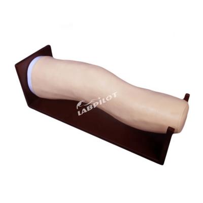 China Advanced PVC Knee Model for Intra-articular Injections and Joint Aspiration Training for sale