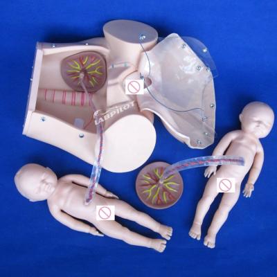 China Human Life Size Pregnant Doll Baby Labor Delivery Simulator for Medical Science Model for sale