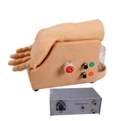 China Arterial Blood Gas Analysis Model for Human Artery Puncture Training Skill Development for sale