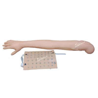 China Full Arm Simulator Clinical Teaching for Intradermal Injection and Venipuncture Practice for sale