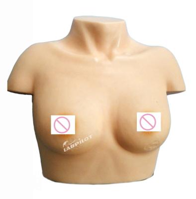 China Gynecological Skills Teaching Manikin for Breast Inspection and Palpation Simulator for sale