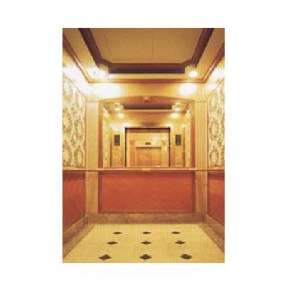 China Home Elevator / Passenger Elevator 800kg Price 8 People Elevator Parts Passenger Elevator VVVF for sale