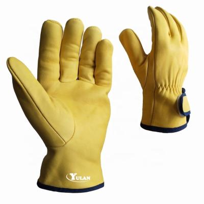 China Yulan LC610 Simple Men's Genuine Fashion Goatskin Leather Glove Men's Training for sale