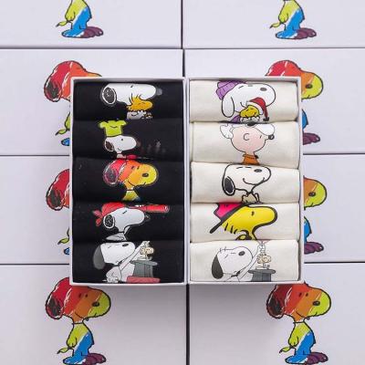 China HY-724 QUICK DRY dog packing box socks cartoon no show bangs woman for girl for sale