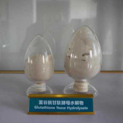 China Chicken Glutathione-Enriched Yeast Hydrolyzate for sale