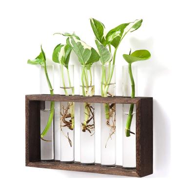 China Modern Mini Glass Plant Greenhouse Europe Wall Hanging Planter Flower With 5 Test Tube for sale