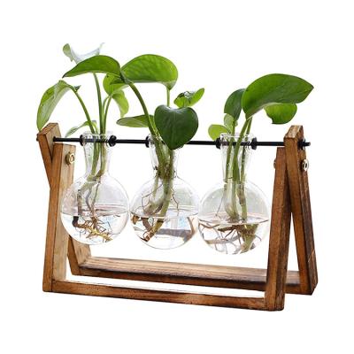 China Europe Garden Desktop Decoration Mini Plant Greenhouse with Wooden Stand for sale