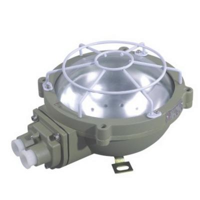 China Explosion Proof Explosion Proof Lamp 100 Watt LED Garage Ceiling Light Flood Light for sale