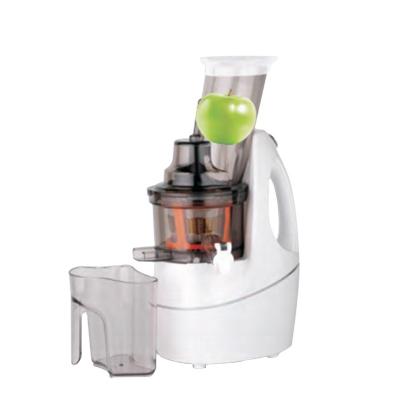 China Commercial Fruit Juicer Stainless Steel Housing Electric Juicer for sale