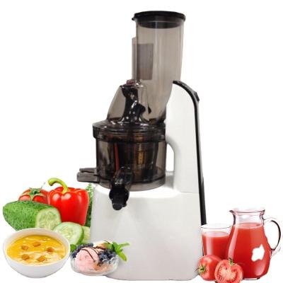 China 2020 new white color eco-friendly jutian factory whole commercial nutrition slow fruit masticating juicer extractor for sale