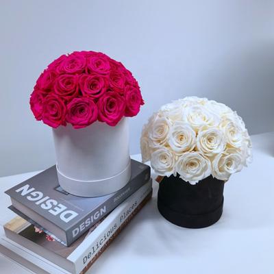 China Durable Real Touch Rose Preserved Layout Rose In Dome Shape Infinity Preserved Durable Preserved Roses Flower Box for sale