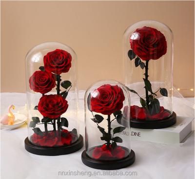 China Luxury Bithday Gift /Wedding /Home Decoration Flowers Preserved Glass Dome Preserved Rose Gifts Sets For Valentine's Day for sale