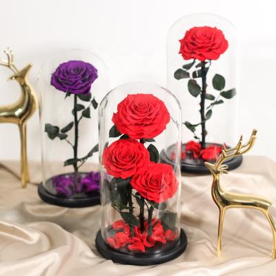 China Wholesale Bithday Gift /Wedding /Home Decoration Immortal Flowers In Glass Dome Long Stem Glass Dome Roses for sale