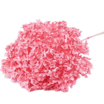 China 70cm 80cm Durable Hydrangea With Long Stem Pink Color Preserved Stem Hydrangea For Wedding Decoration for sale