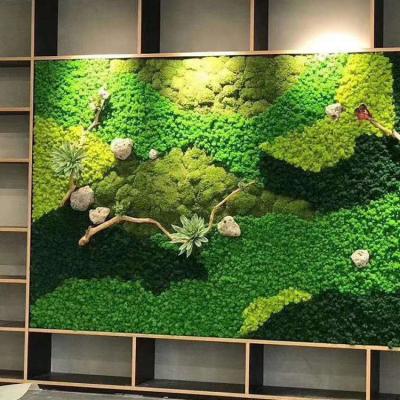 China Durable Preserved Moss 500g Preserved Moss Wall Decoration Real Natural Moss Wall Decoration for sale