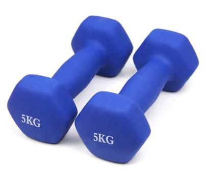 China Colorful Cast Vinyl Neoprene Coated Rubber Weightlifting Hex Dumbbell For Gym Free Weights for sale