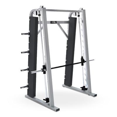 China Smith Squat Training Equipment Commercial Fitness Shoulder Training Machine ZF-709 for sale