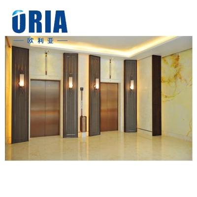 中国 ORIA-K01 Luxuriant Home Villa Elevator Car Design Hydraulic 450kg-1600Kg 販売のため