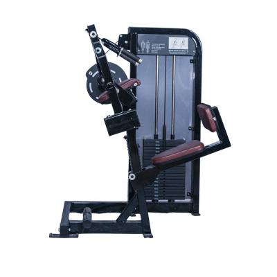 China New Universal Gym Equipment Fitness Machine Strength Machine Triceps Extension WL607 for sale