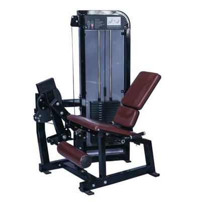 China Universal Equipo De Gimnasio Pin Loaded Commercial Gym Leg Extension Machine WL616 Aparatos PARA Gym Leg Extension Machine for sale