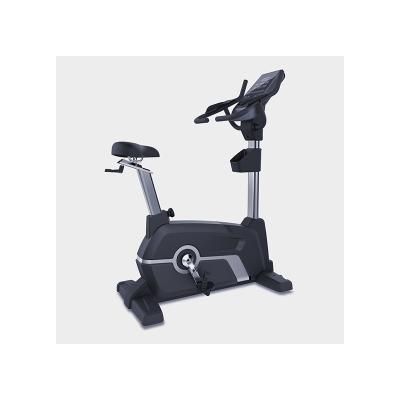 China Factory Outlet 75KGS Q235 Universal Steel Tube Aerobics Vertical Exercise Bike for sale