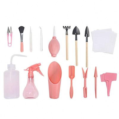 China Garden Planter DIY Succulent Planting Kit Tool Kit Sowing Graft Seedling Tool Bonsai Fertilizer Drilling Device for sale