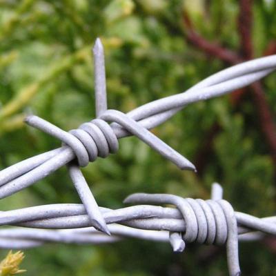 China Solid 2023 Best selling new design barb wire for sale