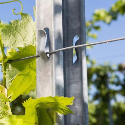 China Factory Supply Easily Assembled Grape Support Trellis Vineyard End Post for sale