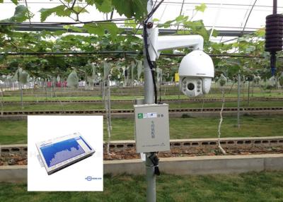 China Agricultural RTU Scada Monitoring System For Green House Crops Growing Environment for sale