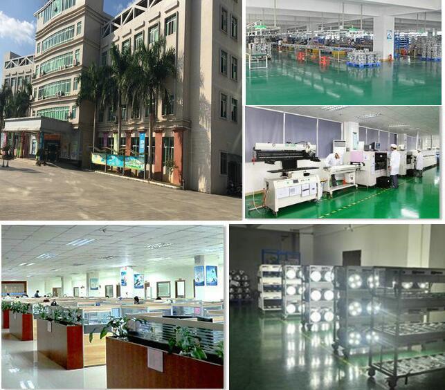 Verified China supplier - Green Lantern Optoelectronic Light Factory