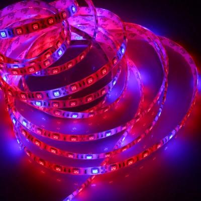 China Fruit Vegetable Greenhouse Flower Waterproof Flexible Growing Lights IP65 Strip Led Grow Light 60leds/m Strip Led Grow Light for sale