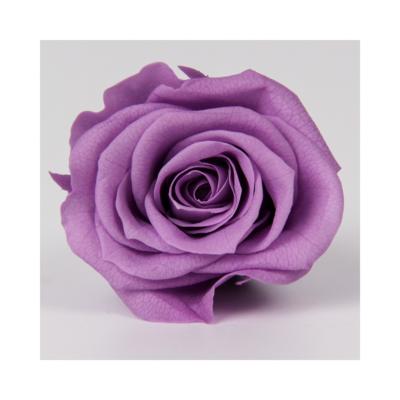 China Valentine's Day Rose Preserved Lilac Rose Head Eternal High Quality Wholesale 2 or 3 cm Mini Rose For Valentine Day for sale